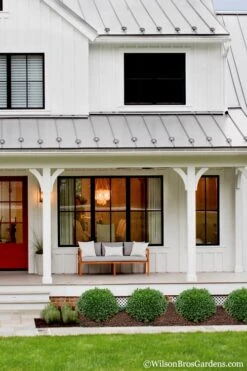 Korean Dwarf Boxwood - Buxus Sinica Var. Insularis 'Nana' - 1 Gallon Pot -Flowers World Shop Boxwood Korean Dwarf Insularis Nana 4 1