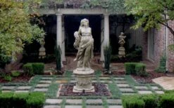 Dwarf Mondo Grass - 72 Pack Of 3.5" Pint Pots -Flowers World Shop Picture Mondo Grass Dwarf Pavers 1