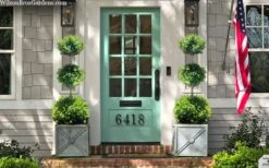 Green Mountain Boxwood 3-Ball Poodle Tier Topiary - 6 Gallon Pot 9 Green Mountain Boxwood 3-Ball Poodle Tier Topiary - 6 Gallon Pot -Flowers World Shop buxus green mountain 3 ball topiary 20