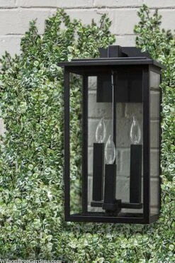 Variegated Creeping Fig (Ficus Pumila 'Variegata') - 10 Pack Of 4" Pint Pots 14 Variegated Creeping Fig (Ficus Pumila 'Variegata') - 10 Pack Of 4" Pint Pots -Flowers World Shop ficus pumila variegata creeping fig 102