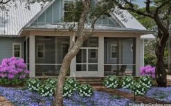 Snow Globe Gardenia - 1 Gallon Pot -Flowers World Shop gardenia jasminoides snow globe 2 1